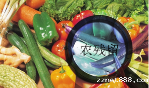 蔬菜农药残留快速检测仪介绍