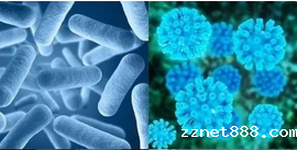 粮食呕吐毒素检测仪的应用保障粮食安全